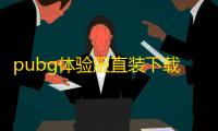pubg体验服直装下载